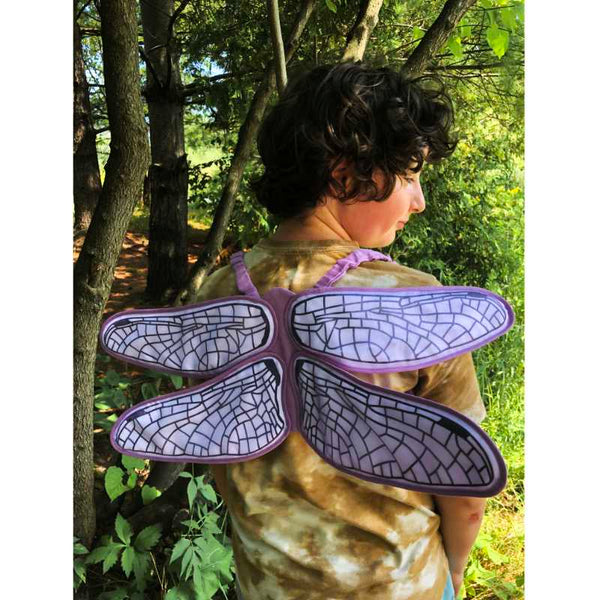dragonfly wings