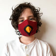 cardinal face mask