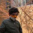fox face mask